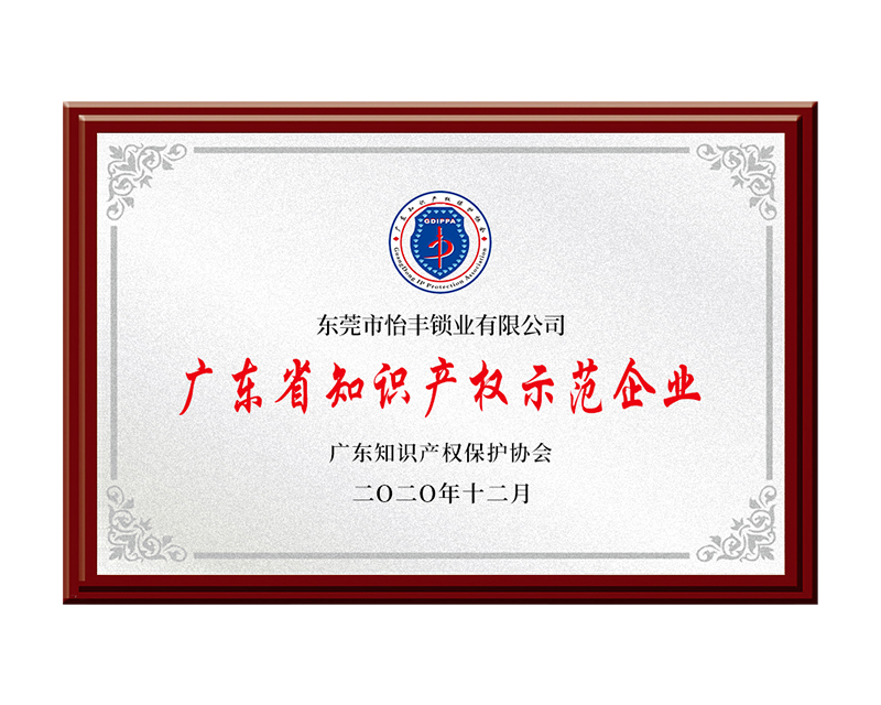 喜讯！怡丰锁定“广东省知识产(chǎn)权示范企业”