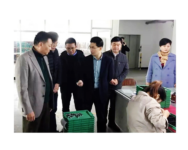 江西新(xīn)干县县長(cháng)曾亮莅临我司考察